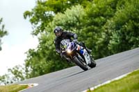 Lower Group Blue Bikes